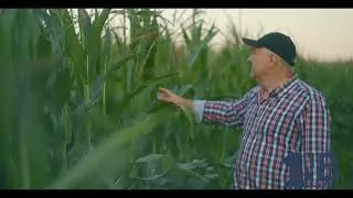 1NB Bank - the 1Place to go - Crop Loan