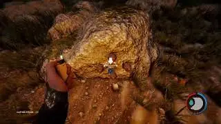 Th forest