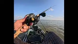 Red drum from swan lake free port Tx