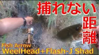【ブラックバス】FishArrow Flash-J Shad &times; Mamiya HIS-661ML &times; DAIWA SPRINTER GL2000