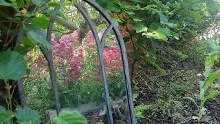 Summer Solstice 2021 Short Meditation