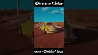 #shorts #diariodeunvochero #vw #vocho #aircooled #watercooled #vochos #vocheros #fusca #bug #beetle