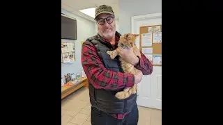 Is Leo a Maine Coon Kitten?  His DNA test results are in.....