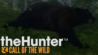 The Hunter Call of the Wild: Bear Attack