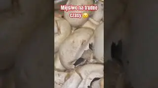 Mięsiwo weki na ciężkie trudne czasy #kuchnia #słoiki #survival #mięso #wekowanie #domoweprzetwory
