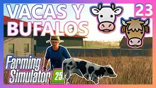 Farming Simulator 25 DESDE CERO 🚜 23 VACAS y BUFALOS - GUIA COMPLETA !!! #FS25  #farmingsimulator25