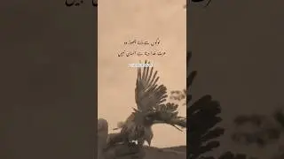 Don't Fear People | Allah Grants Honor, Not Humans 🙏 #shortvideo #shortsfeed #shorts #motivation