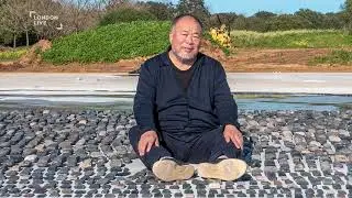 Inside Ai Weiwei's Exhibition at the Design Museum | Expert Insights with James Nicholls