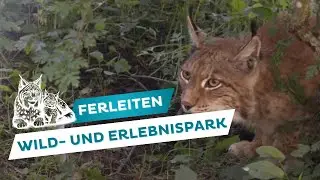 Wild- und Erlebnispark Ferleiten🐻