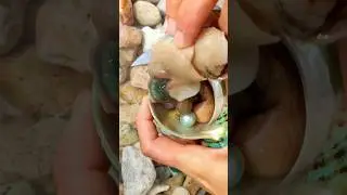 Зеленая улитка с жемчужиной в животе