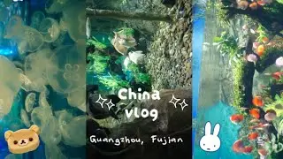 China vlog !! || shopping , food , animals , haul , blind boxes.