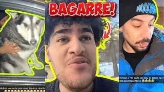 BACO A RETROUVÉ LE CHIEN MORTA LUI VOLE!