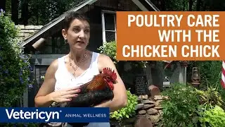 Why The Chicken Chick Loves Vetericyn Poultry Care Wound Spray