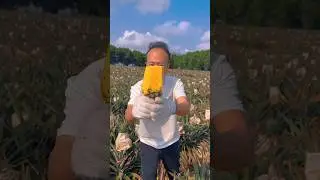 China's Most Delicious Fruits#shorts#fruit#sugarcane#orange#pineapple #viral