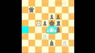 Kasparov Sacrificed Whole Army and Mate with a Pawn !!! | #chess #sacrifice #rook