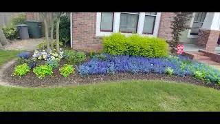 Plastic Dollar Store Plants & Flowers!  Lake Charles, La.  Subscribe & Like