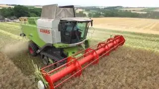 World Oil Seed Rape Record yield broken