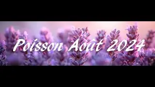 Poisson ao&ucirc;t 2024   Mise au point et d&eacute;tente au programme