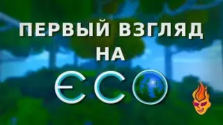 Первый взгляд на ECO