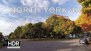 North York Suburban Autumn Drive 4K HDR | Pynford Crescent (Start to End) | Relaxing No Talking