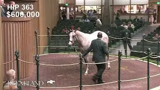 Hip 363, Into Mischief - Not in Jest sells for $1 million at 2022 Keeneland September