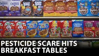 Recall: Harmful pesticides found in cereals, according to study