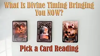 WHAT IS COMING FOR YOU IN DIVINE TIMING NOW? PICK A CARD READING