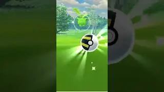 shiny encounter from a research