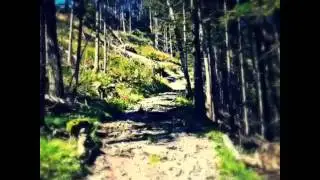 Seelenwanderungen - Kesselfall - Sch&ouml;ckl