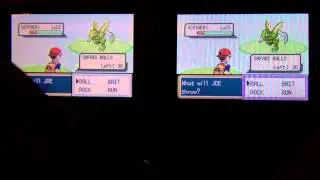 LIVE - Shiny SCYTHER (4%) after 2,724 RE's in the Safari Zone!