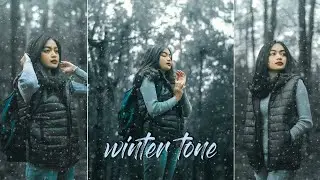 Winter Tone | Lightroom Winter Tone Presets Free Download | @mgeditzone