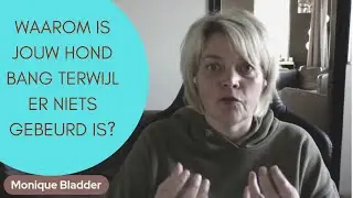 Waarom is jouw hond bang terwijl er niets gebeurd is? Eén ervaring kan genoeg zijn. Of zelfs minder.
