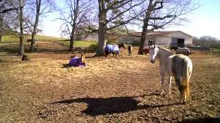 Farm Stuff #4 - Barn Roof Repair