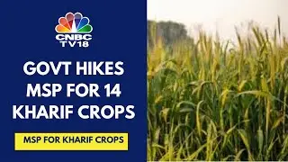 Govt Hikes Overall MSP For 14 Kharif Crops For The 2024-25 Season By 21% | CNBC TV18
