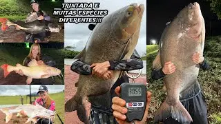 CONHEÇA O PESQUEIRO PRIMAVERA EM SÃO JOAQUIM DA BARRA, MUITO PEIXE GRANDE E VÁRIAS ESPÉCIES!!!