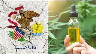 Where To Buy CBD In Illinois - Is CBD Legal In Illinois?