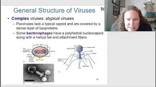Baker Microbiology Chapter 6 lecture