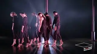 NZDC Showreel 2017