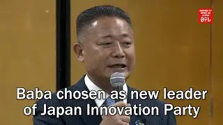 Baba chosen as new leader of Japan Innovation Party