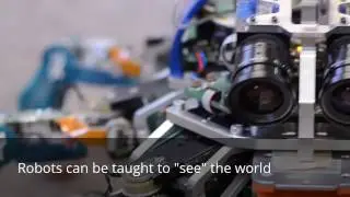 Robotic Sensing