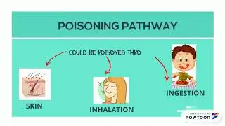 PYRETHROIDS INSECTICIDES