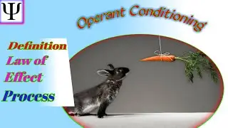 Operational Conditioning, Definition, Thorndike's Law of Effect, Process of Conditioning