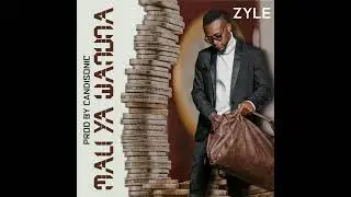 ZYLE - MALI YA WANUNA (prod. Candisonic)
