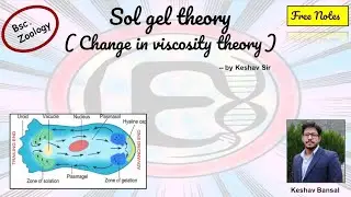 Sol gel theory / Change in viscosity theory || Bsc || Free PDF notes || by Viologia EXtrema