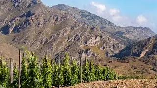 CENTOPASSI - GIATO