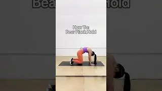 Bear Plank Hold [How To]