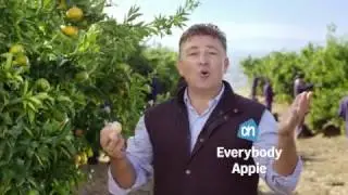 Albert Heijn | Mandarijnen