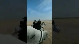 Ghode Ki race