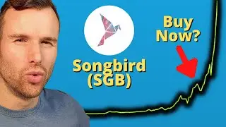 Why Songbird is up ⚠️ SGB Crypto Token Analysis