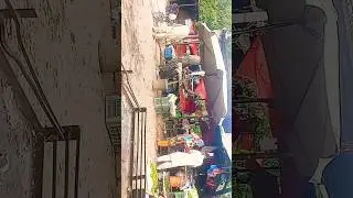 ghakkhar Mandi#foryou #viralvideo #shortvideo #vlog